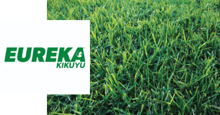 Eureka Kikuyu Instant Lawn